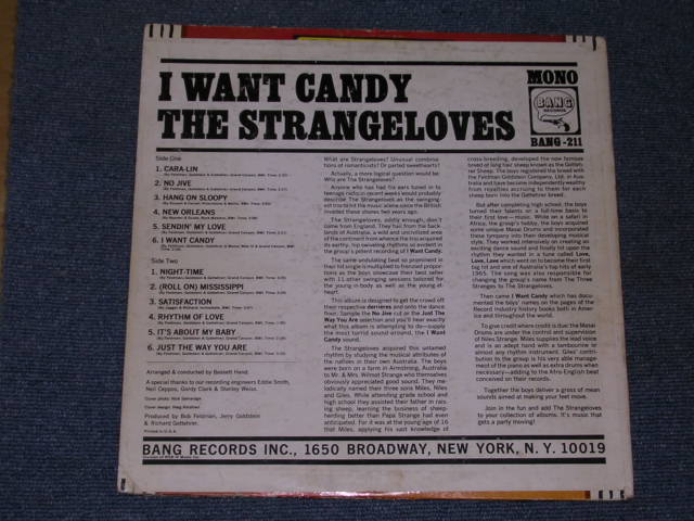 画像: THE STRANGE LOVES - I WANT CANDY  / 1965 US ORIGINAL MONO LP