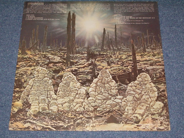 画像: ARMAGEDDON ( THE YARDBIRDS ) - ARMAGEDDON   / 1975 US Original LP