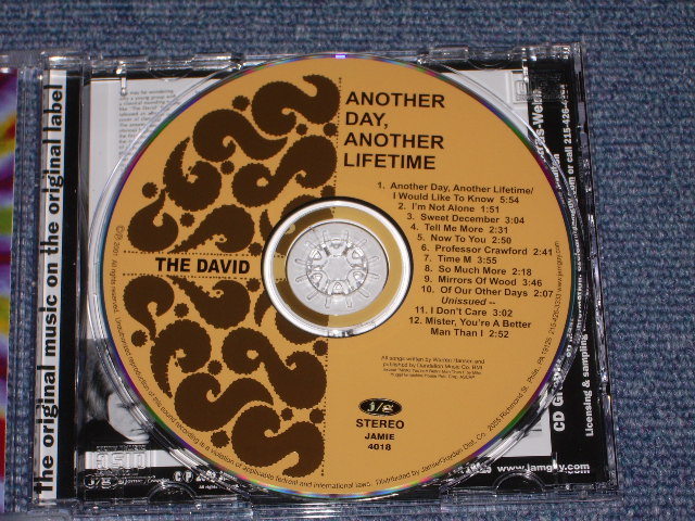 画像: THE DAVID - ANOTHER DAY, ANOTHER LOIFETIME /  2001 US Brand New CD