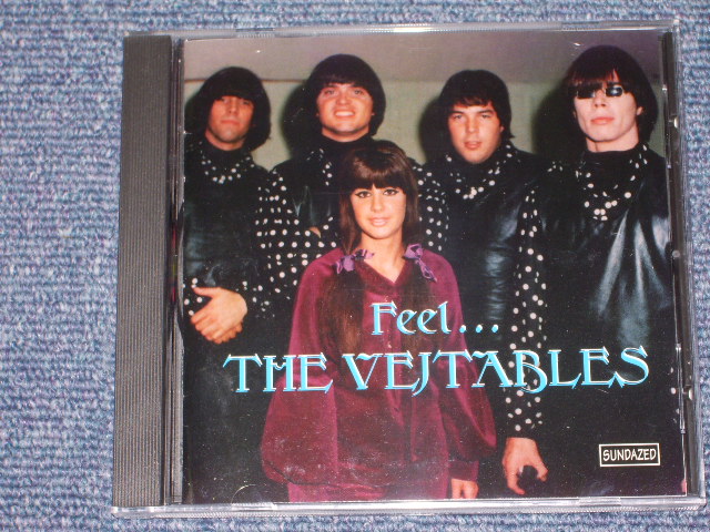 画像1: THE VEJTABLES  - FEEL ... /1995 US SEALED CD